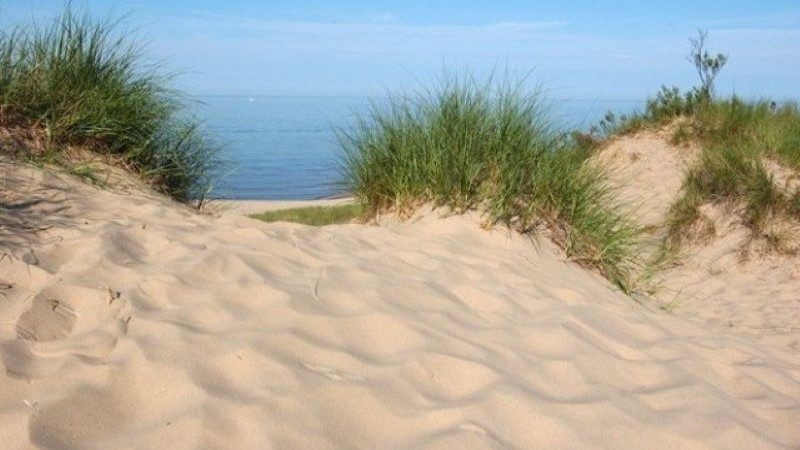 РИСОВ-Варна не откри увредени дюни и унищожени растения от "Игри на волята" на плажа край Дуранкулак