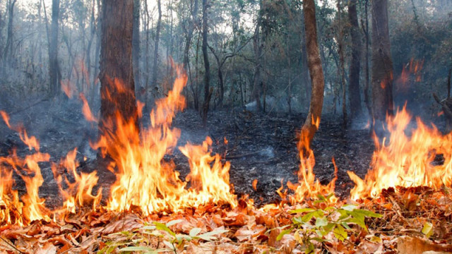 На три гръцки острова пламнаха големи пожари Евакуират туристи Сложна