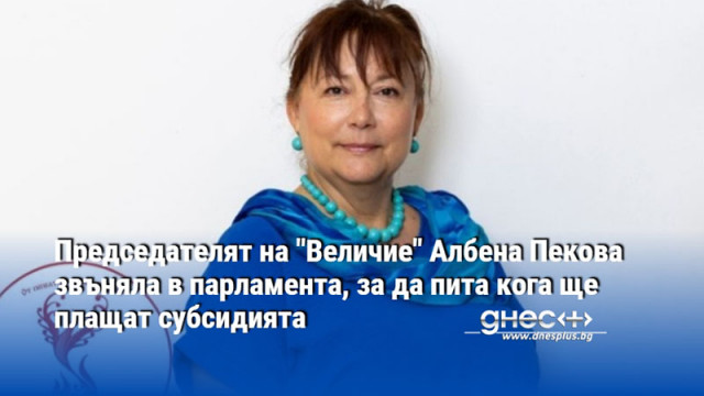 Председателят на "Величие" Албена Пекова звъняла в парламента, за да пита кога ще плащат субсидията