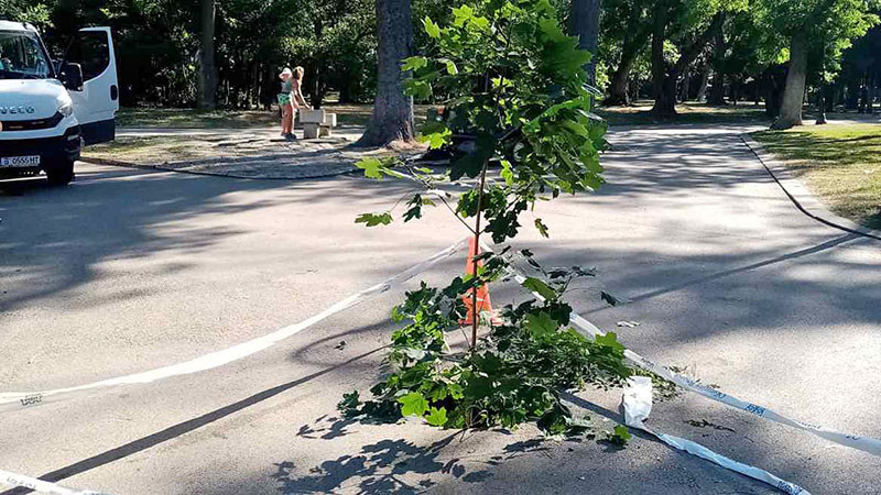 Запълват аварийно пропадането в Морската градина