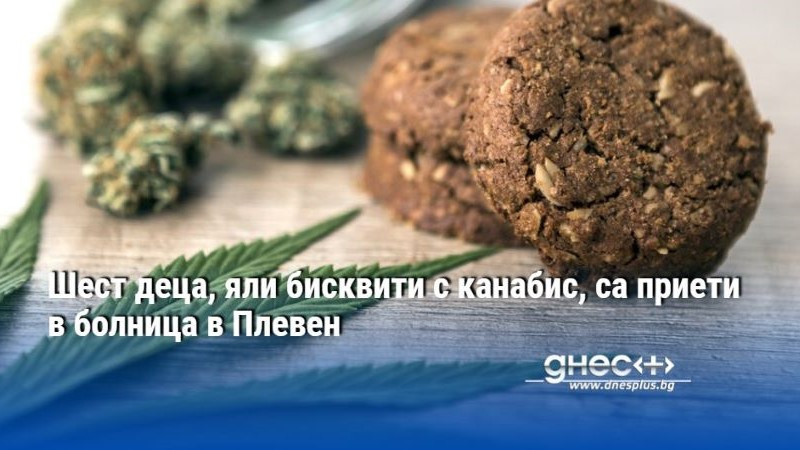 Шест деца, яли бисквити с канабис, са приети в болница в Плевен