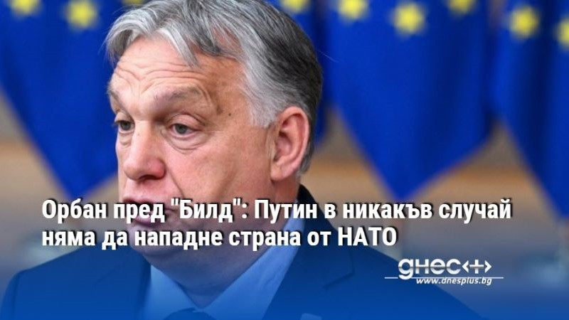 Орбан пред "Билд": Путин в никакъв случай няма да нападне страна от НАТО