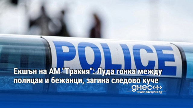 Екшън на АМ "Тракия": Луда гонка между полицаи и бежанци, загина следово куче