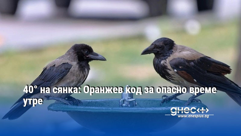 40° на сянка: Оранжев код за опасно време утре