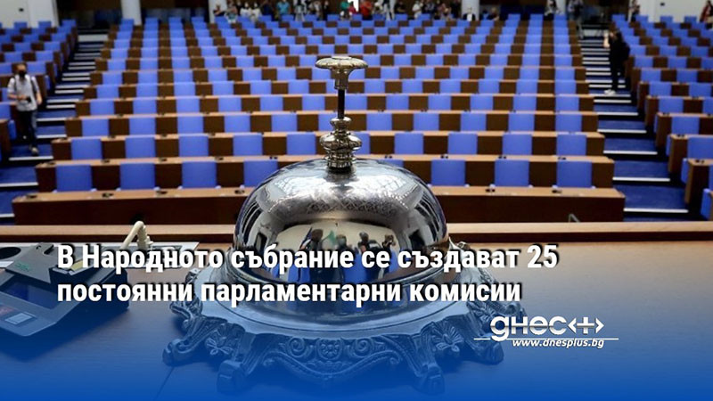 В Народното събрание се създават 25 постоянни парламентарни комисии