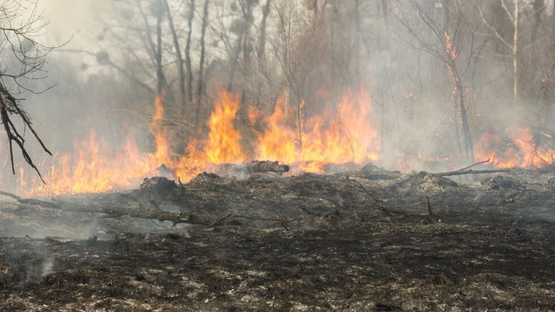 Пожар е изпепелил повече от 10 къщи в Хасковско