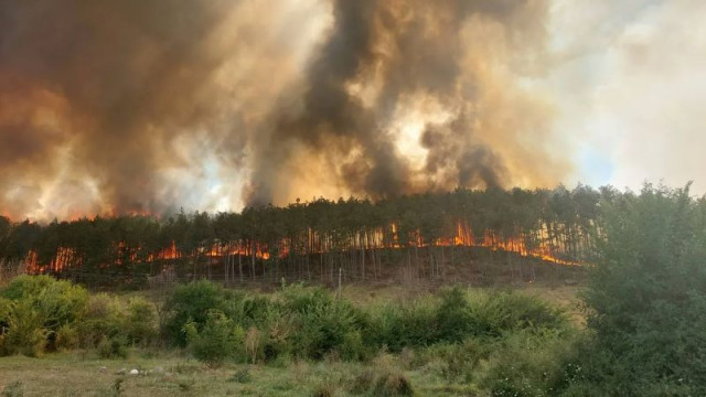 Огънят в Средна гора не стихва, пожарникари от Копривщица, Габрово и София се включват в гасенето