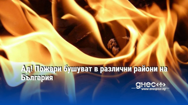 Ад! Пожари бушуват в различни райони на България