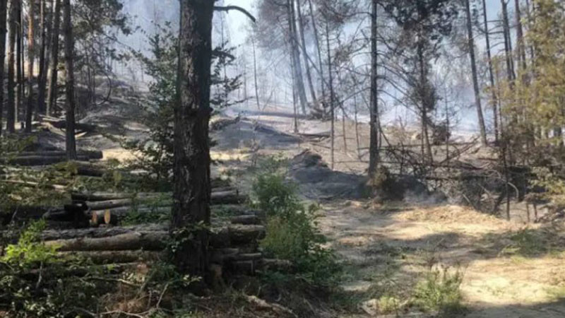 Пожарът в Осогово е локализиран, оглеждат с дрон засегнатите площи