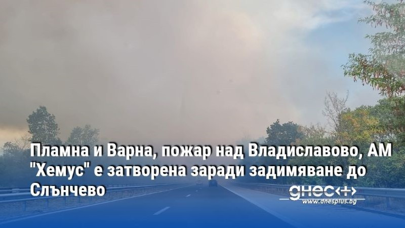 Пламна и Варна, пожар над Владиславово, АМ "Хемус" е затворена заради задимяване до Слънчево