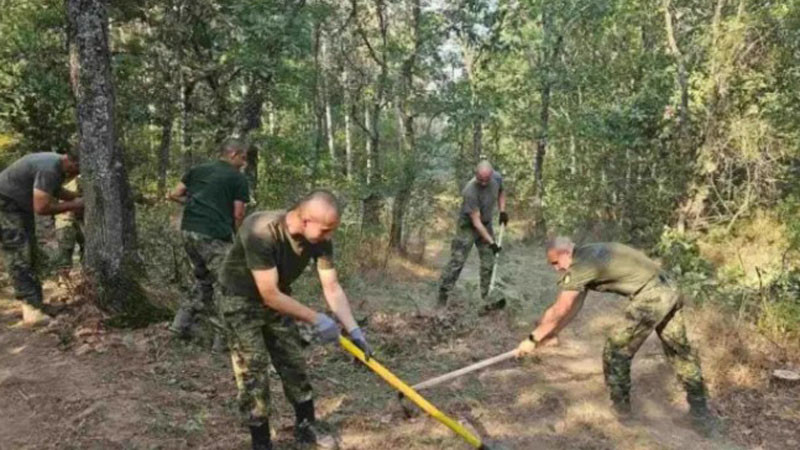 Началникът на отбраната: Пожарите в Пловдив са под контрол