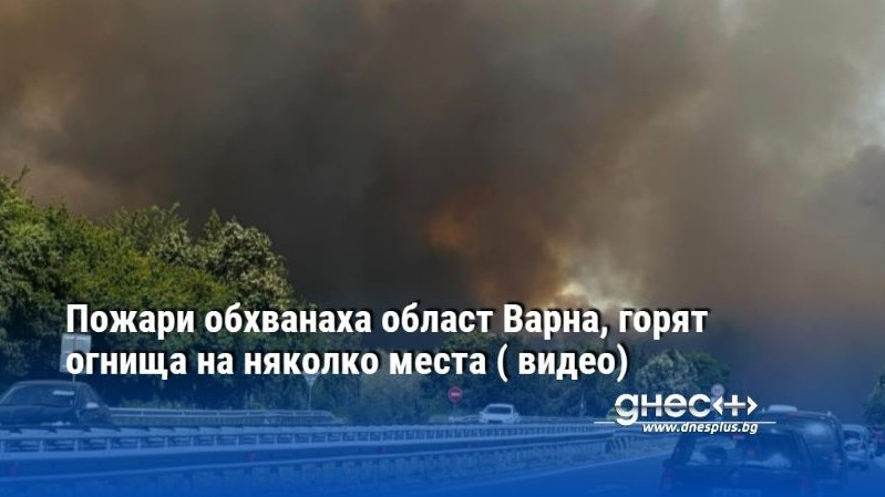 Пожари обхванаха област Варна, горят огнища на няколко места ( видео)