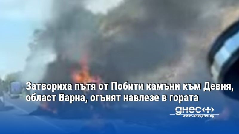 Затвориха пътя от Побити камъни към Девня, област Варна, огънят навлезе в гората (Видео)