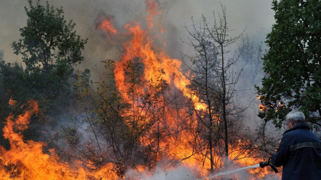 Александър Джартов с последна информация за пожарите в страната