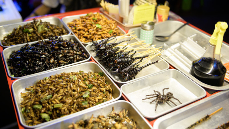 Страната, която одобри 16 вида насекоми за храна