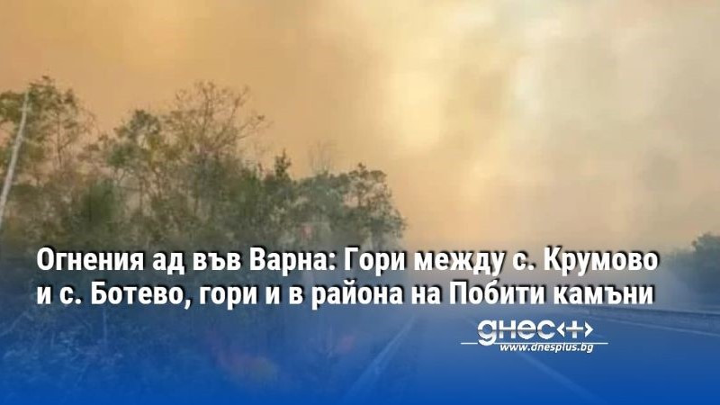 Огненият ад във Варна: Гори между с. Крумово и с. Ботево, гори и в района на Побити камъни