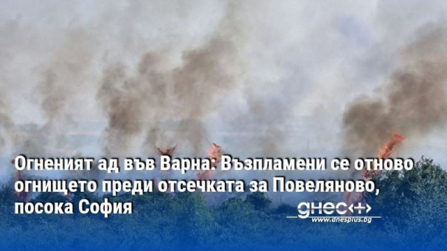 Огненият ад във Варна: Възпламени се отново огнището преди отсечката за Повеляново, посока София