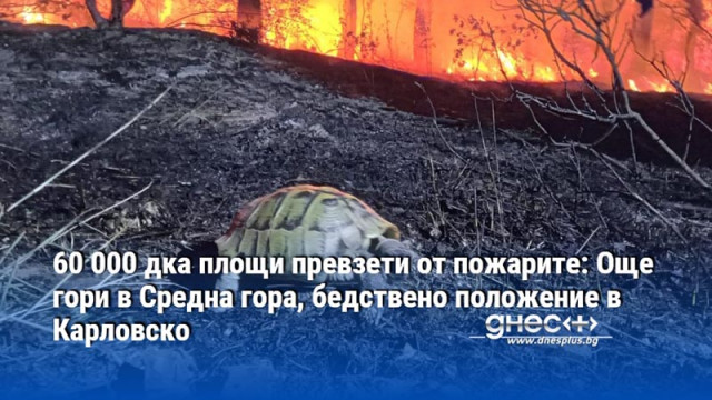 60 000 дка площи превзети от пожарите: Още гори в Средна гора, бедствено положение в Карловско