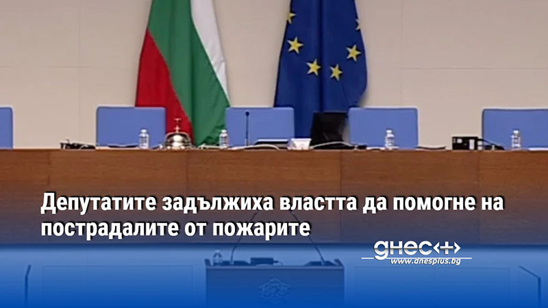 НА ЖИВО: Депутатите задължиха властта да помогне на пострадалите от пожарите