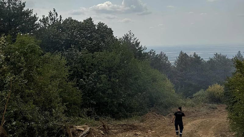 Пожарът край Стара Загора лумна отново, Испания праща два самолета