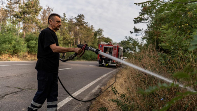 Овладяха пожара в района на селата Ваксево и Фролош в Кюстендилско