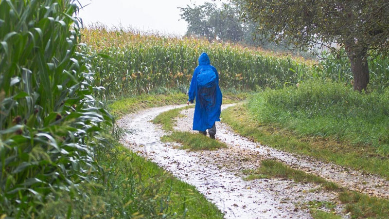 Земеделци настояват за създаването на дъждовни облаци от държавата