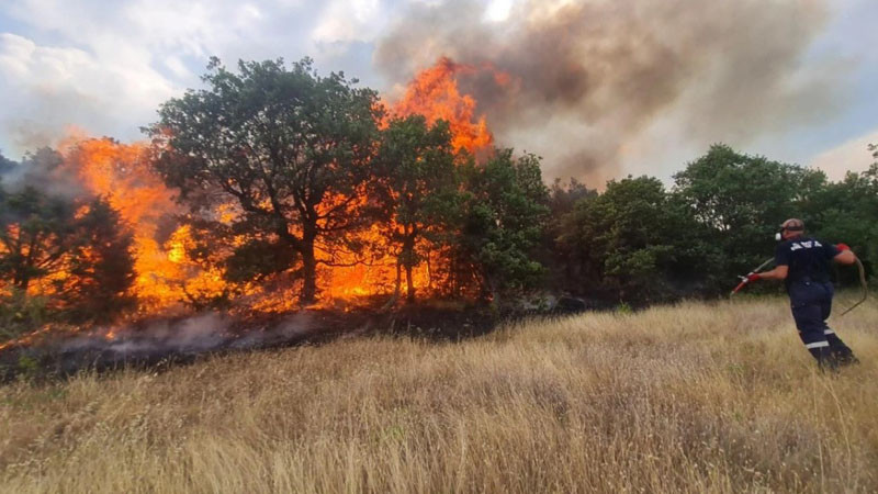 Пожар гори в близост до село Цапарево, няма опасност за живущите