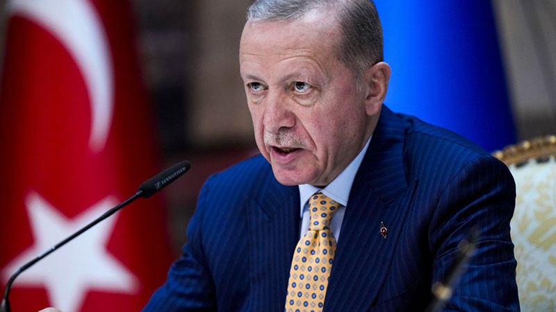 Ердоган: Разрешаването на кипърския въпрос е възможно само на базата на признаването на две държави
