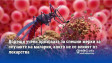 Водещи учени призоваха за спешни мерки за случаите на малария, които не се влияят от лекарства