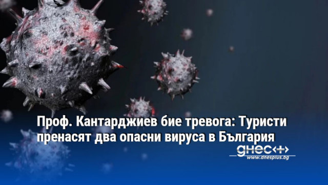 Проф. Кантарджиев бие тревога: Туристи пренасят два опасни вируса в България