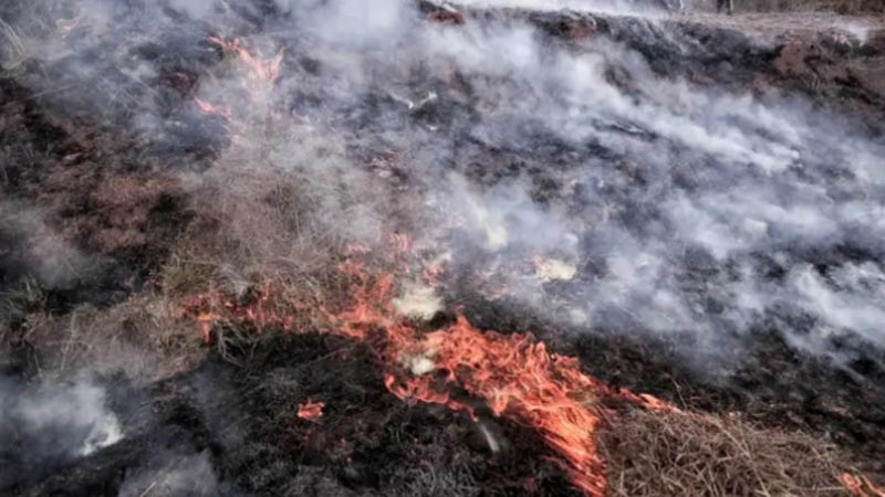 Пожар между селата Микрево и Каменица