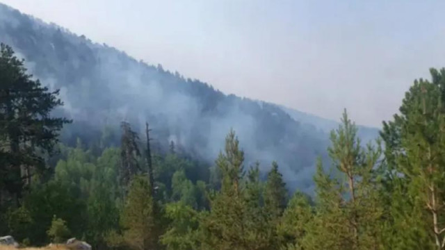 Продължава гасенето на двата горски пожара в Югозападна България където