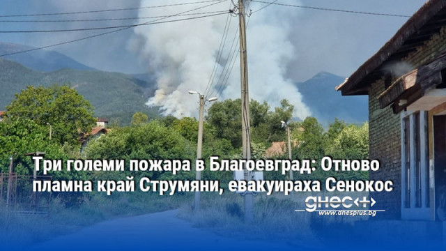 Три големи пожара в Благоевград: Отново пламна край Струмяни, евакуираха Сенокос