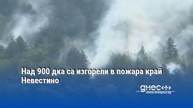 Над 900 дка са изгорели в пожара край Невестино съобщава