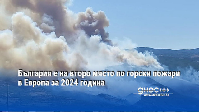 България е на второ място по горски пожари в Европа за 2024 година