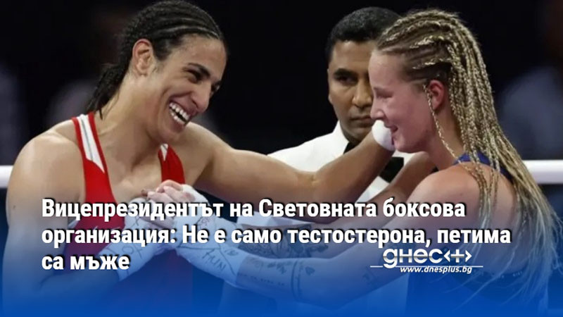 Вицепрезидентът на Световната боксова организация: Не е само тестостерона, петима са мъже