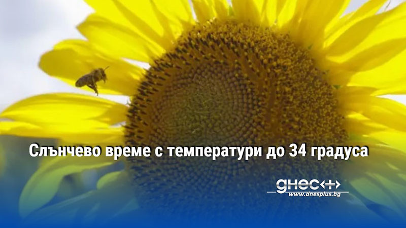 Слънчево време с температури до 34 градуса