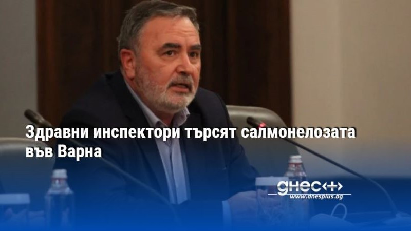 Здравни инспектори търсят салмонелозата във Варна