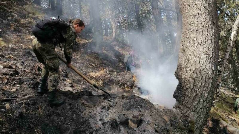 Военни от Сухопътни войски все още са на терен в борбата с пожарите в планината Славянка