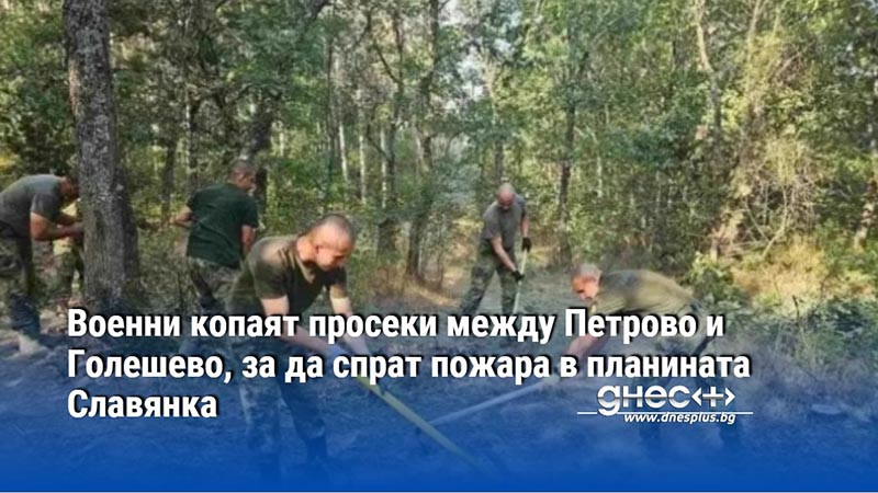 Военни копаят просеки между Петрово и Голешево, за да спрат пожара в планината Славянка