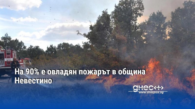 На 90% е овладян пожарът в община Невестино