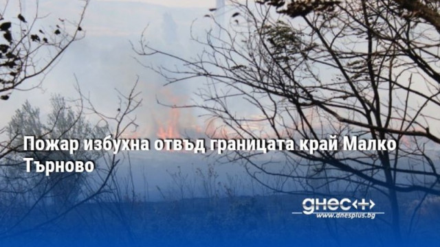 Пожар избухна отвъд границата край Малко Търново