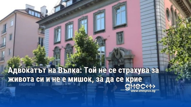 Адвокатът на Вълка: Той не се страхува за живота си и не е мишок, за да се крие