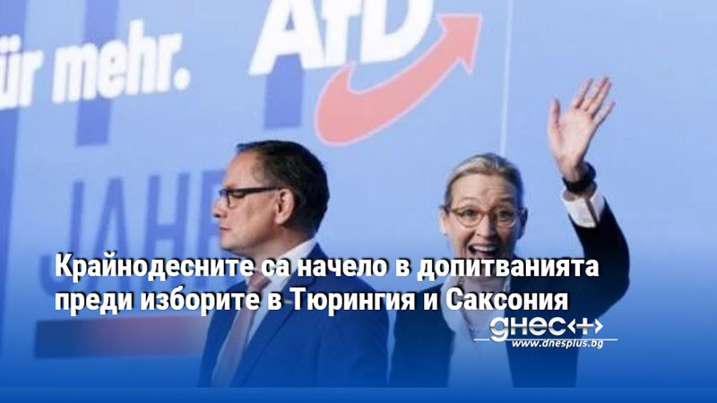 Крайнодесните са начело в допитванията преди изборите в Тюрингия и Саксония