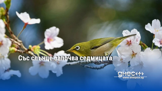 Със слънце започва седмицата