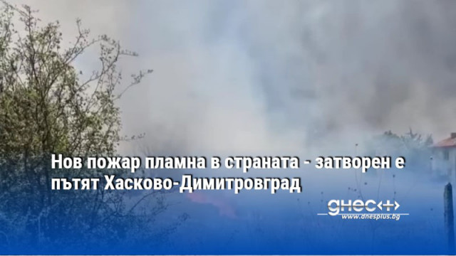 Огромен пожар пламна малко след обяд край пътя между Димитровград