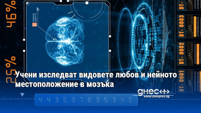 Учени изследват видовете любов и нейното местоположение в мозъка