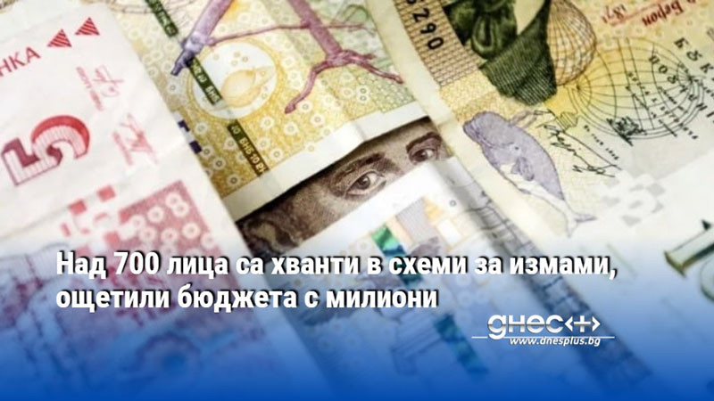 Над 700 лица са хванти в схеми за измами, ощетили бюджета с милиони