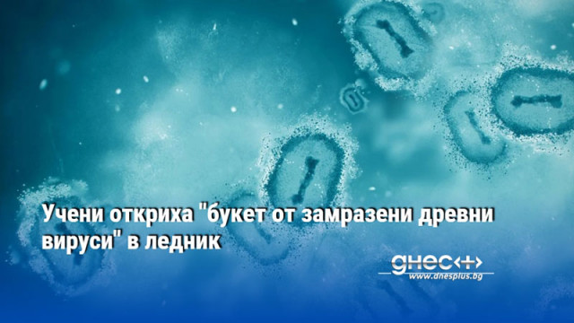 Учени откриха "букет от замразени древни вируси" в ледник