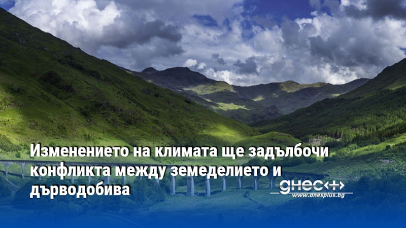 Изменението на климата ще задълбочи конфликта между земеделието и дърводобива